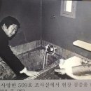 치니