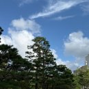 연제구-182 | 부산 개인파산 신청 절차 서류준비, 회생파산 상담 후기