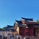 석성동헌 탱자나무 | 천연기념물 탱자나무(석성 동헌)