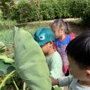 토란어린이집 이미지