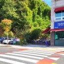 크린앤크린24 이미지