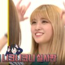 차모모