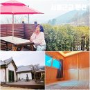 수동 편백나무집 이미지