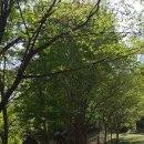 가좌공원 이미지