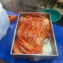 묵호어판장 | 묵호항 제철 홍게 찜 후기 (어판장 홍게·대게, 수율, 시세, 포장)