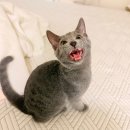 백년대로 307번길 | 아직도 난 아직도 찬란히 빛나고 있어