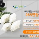장안장