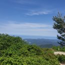 울진해물탕 이미지