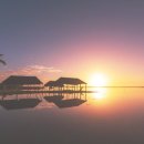 가라아게야 이미지