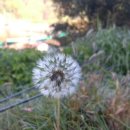 선고낚시터 이미지