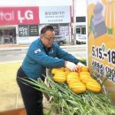 성주 이미지