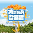 하늘스테이 네이버블로그