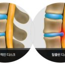 SM복싱클럽 6관 이미지