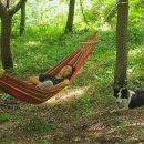 자매하우스민박 이미지