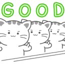 예뻐질고양 이미지