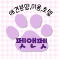 펫앤펫 인천점 강아지분양의 모든것 이미지