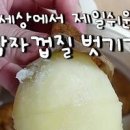 감자 삶는법 맛있게 삶는방법 감자삶기 이미지