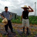 흥부 농장 이미지