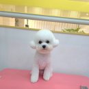 브리앙뜨몽 이미지