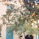 우리 몸 탐구여행 이미지