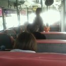 신성동 주민센터 버스정류장 이미지