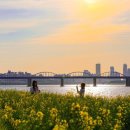 고수부지 이미지