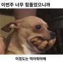 수상한종로전집 | 요.내.먹 (요즘 내가 먹은것들) 2탄