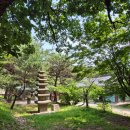 수덕목장 | 충남 예산, 서산 가볼만한 곳:: 수덕사, 수덕산맥, 유양창고, 서산한우목장