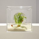 WATERSCAPE 이미지