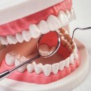 보석플란트치과의원 이미지