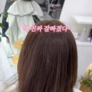 라임 헤어라이프