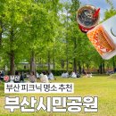 부산시민공원 공원역사관 | 부산 서면 시민공원 피크닉 후기 가족·친구구과 함께하기 좋은 부산 명소