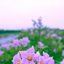 삼주1공인중개사사무소 이미지