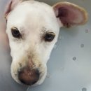 문덕동물병원 이미지