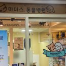 마더스동물병원 이미지