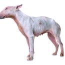 티앤디 동물병원 이미지