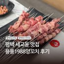 용용1988양꼬치 | 평택 세교동 양꼬치 맛집, 용용1988양꼬치, 양꼬치 2인분 마라탕 후기