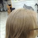 베스타헤어코디
