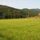 용인자연휴양림 이미지