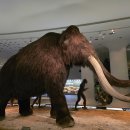 연천 전곡리 선사유적지 이미지