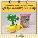 공룡약국 | 메타프로칸 키즈 츄어블] 약국전용제품으로 믿음직스럽고 과일맛이 나는 맛있는 키즈영양제 솔직 후기