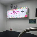 양재시장 | 봄 향기를 걷다, 양재꽃시장 산책 후기