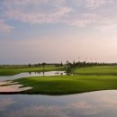 루비트리 이미지