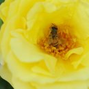 갈전농장 이미지