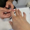 네일드송