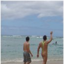 와이키키 이미지