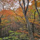 제눈에안경 이미지