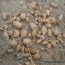 신등농장 이미지