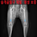 마로동물병원 이미지