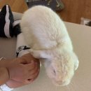 토끼와거북이공원 | 대구 동성로 아기랑 실내 가볼만한곳 동물 이색 카페 아쿠아밸리 블루 라운지 동성로점 내돈내산 후기